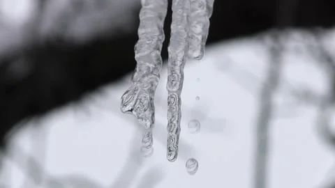 Winter Icicles Sparkling in Sunlight – Animated Loop Stock Footage 307892728