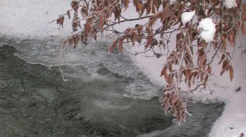 Winter icy stream. Stock Footage 10787896