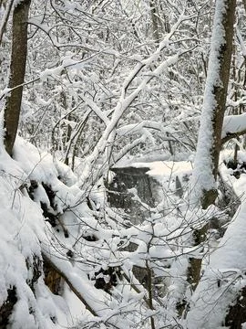 Winter Icy Waterfall Behind Trees and Branches Stock Photos