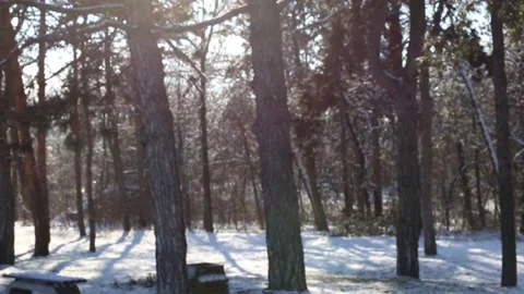 Winter idyll Stock Footage 155244748