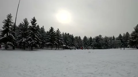 Winter idyll Stock Footage 155308856