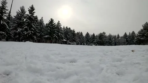 Winter idyll Stock Footage 155308864