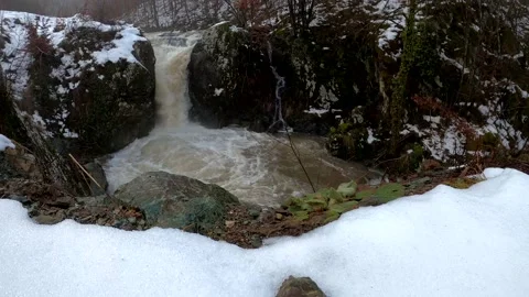 Winter idyll Stock Footage 155317074