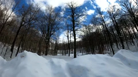 Winter idyll Stock Footage 155317124