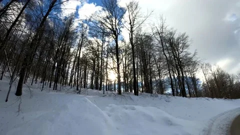 Winter idyll Stock Footage 155317128