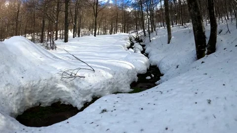 Winter idyll Stock Footage 155317129