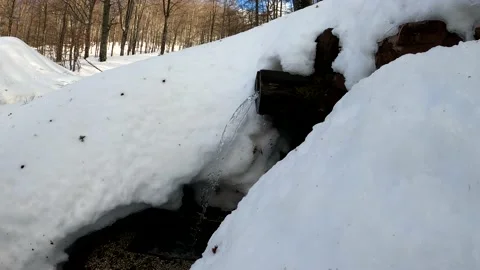 Winter idyll Stock Footage 155317133