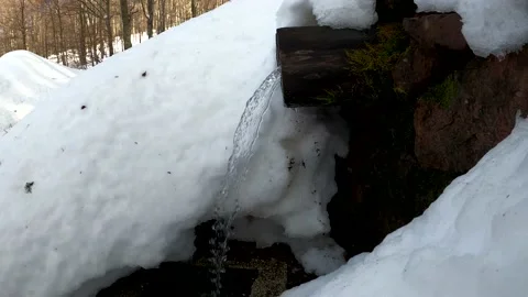 Winter idyll Stock Footage 155317139