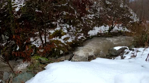 Winter idyll Stock Footage 155317153