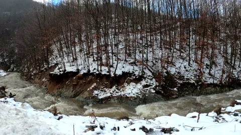 Winter idyll Stock Footage 155317196