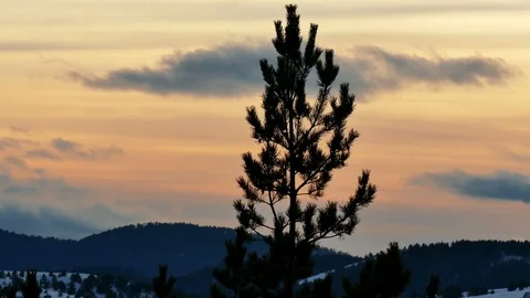 Winter Idyll in the Mountainous Area Stock Footage 101898620