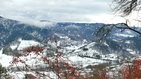 Winter Idyll in the Mountainous Area Stock Footage 101901430