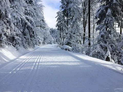 Winter idyll Stock Photos