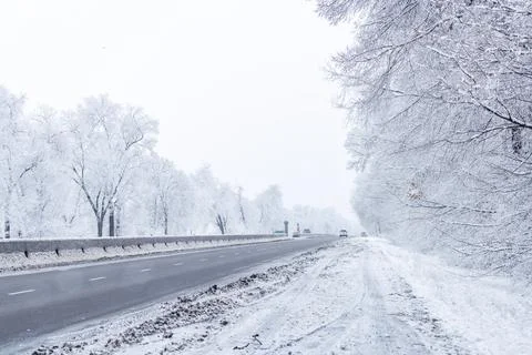 Winter interstate road with snow covered trees at overcast day Photos