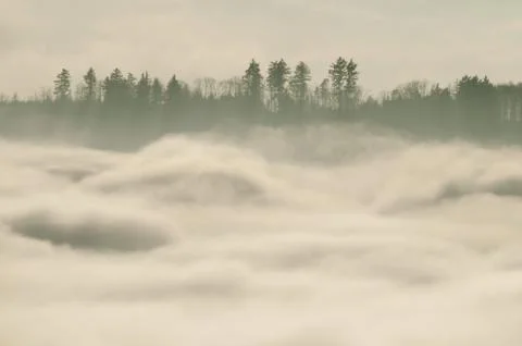 Winter inversion in the hilly forest with mist and clouds Stock Photos