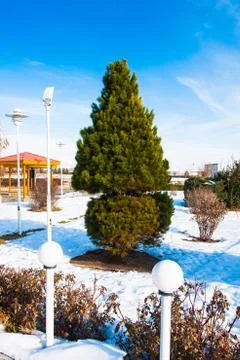 Winter in Iran Stock Photos