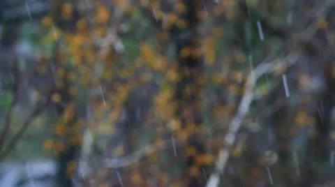 Winter, it's snowing Stock Footage 12432007