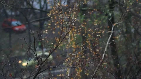 Winter, it's snowing Stock Footage 12432097