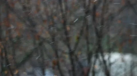 Winter, it's snowing Stock Footage 12432203