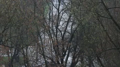 Winter, it's snowing Stock Footage 12432247