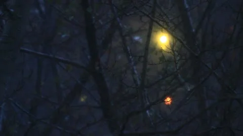 Winter, it's snowing Stock Footage 12432270