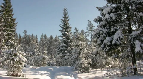 Winter jogging 스톡 동영상 1216250