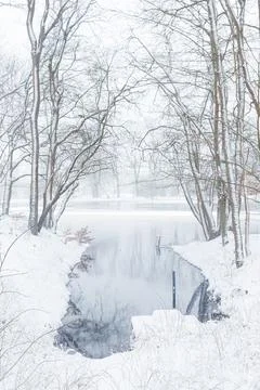 Winter Lagoon Stock Photos