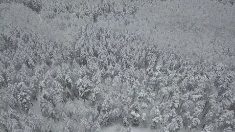 Winter lake 06 Video stock 127576676