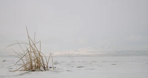 Winter Lake 15 Stock Footage 100429869