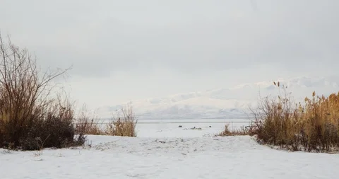 Winter Lake 8 Stock Footage 100428158