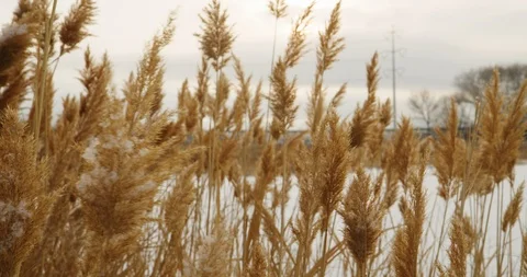 Winter Lake 9 Stock Footage 100426641