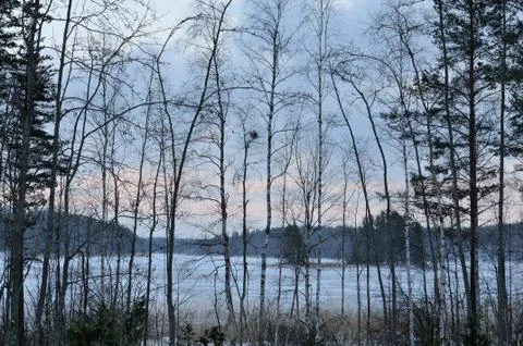 Winter lake at dusk Stock Photos