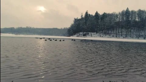 Winter lake Stock Footage 146458510