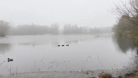 Winter Lake Stock Footage 259244915