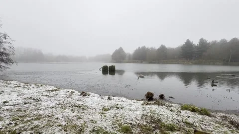 Winter Lake Stock Footage 259244919