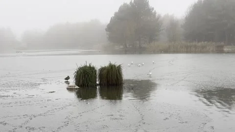 Winter Lake Stock Footage 259244920