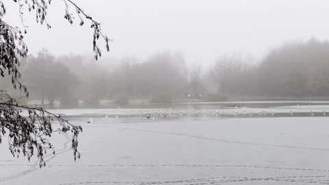 Winter Lake Stock Footage 259244964