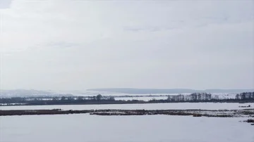 Winter lake landscape 스톡 동영상 85882596