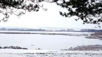 Winter lake landscape Video stock 85883346