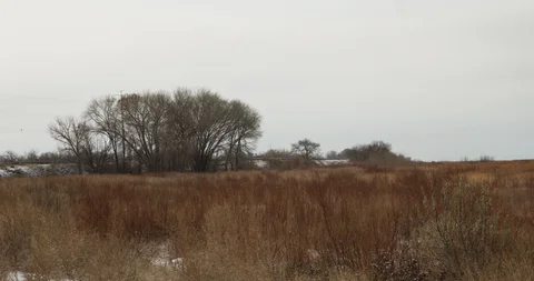 Winter Lake Marsh 7 Stock Footage 100426589