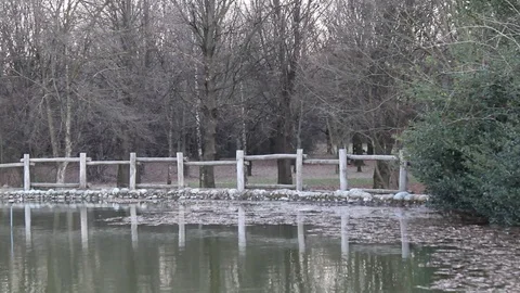 Winter at the lake of the park Video stock 99782893