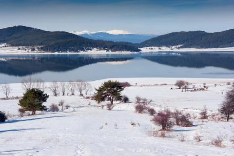 Winter lake Stock Photos