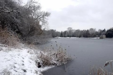 Winter lake Stock Photos