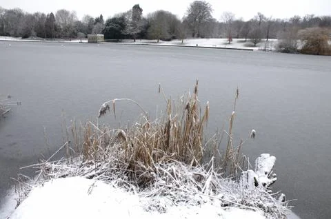 Winter lake Stock Photos