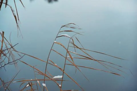 Winter lake Stockfoto's