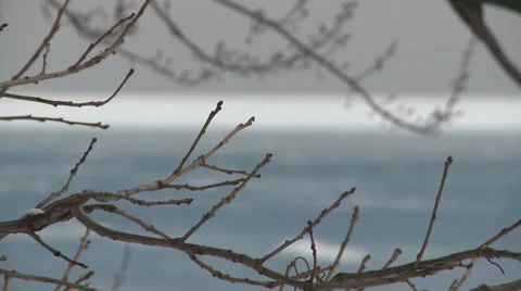 Winter lake pull-focus Stock-Footage 37792520