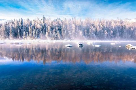 Winter Lake Reflection with Snowy Pine Forest and Blue Sky Stock Photos