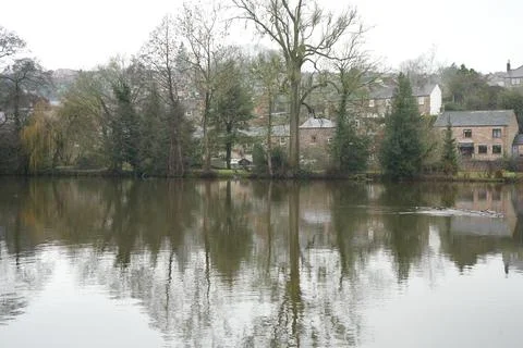Winter Lake Reflections Of Bare Trees And Houses In Belper, Derbyshire, England. Stock Photos