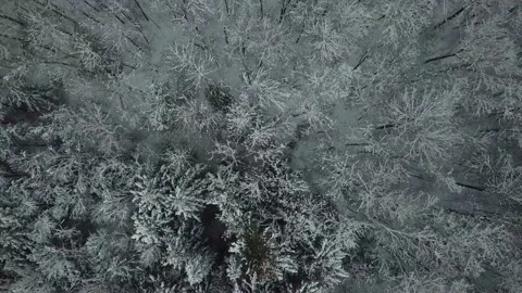 Winter lake reveal Stock Footage