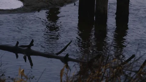 Winter Lake Scenes 스톡 동영상 81717993